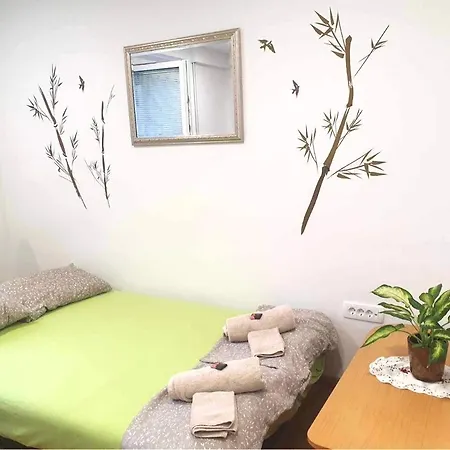 Appartement Green Flat Near The City Center With Free Parking